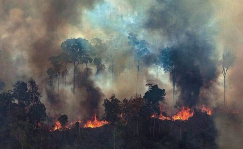 28 agosto: Los incendios en los bosques amazónicos son una emergencia planetaria, con Allan Astorga.