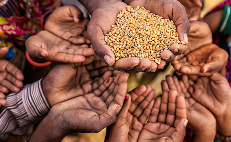 21 de mayo: La seguridad alimentaria está puesta de nuevo sobre el tapete de las necesidades más apremiantes que atender en plena pandemia. Con Federico Zamora y Víctor Umaña