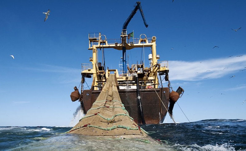 21 octubre: El futuro de la pesca de arrastre se define en la Asamblea Legislativa. Con Andrea Meza.