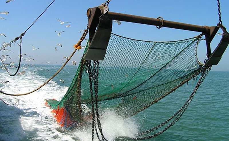 27 octubre: Parte I: en defensa del proyecto de pesca de arrastre. Con Carlos Ricardo Benavides.