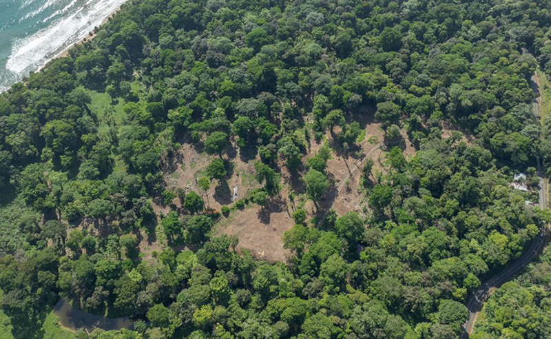 4 junio 2024: Denuncias de deforestación irregular en Refugio de Vida Silvestre Gandoca Manzanillo. Con Franz Tattembach.