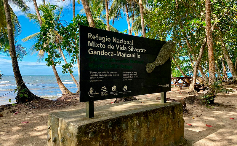 13 agosto 2024: Batalla por el Refugio mixto de Vida Silvestre Gandoca-Manzanillo. Con Anacristina Rossi.