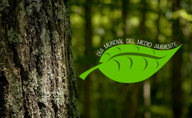 5 de junio: En el día mundial del medio ambiente, la modernizacón del transporte público es vital para alcanzar metas planteadas en el tema ecológico, con Eric Orlich.