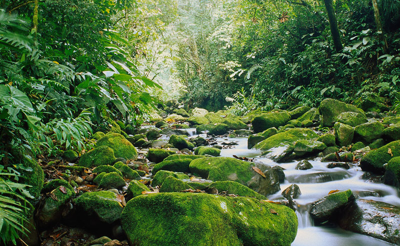 11 de mayo: Uno de los énfasis del nuevo gobierno es el abordaje ambiental desde sus múltiples ángulos, Carlos Manuel Rodríguez